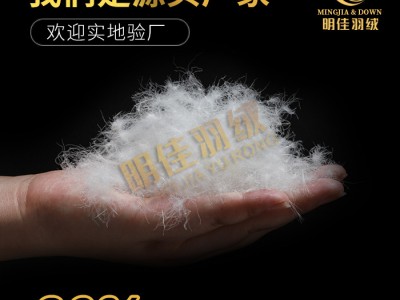 厂家直销水洗80%纯白鸭绒高蓬松无异