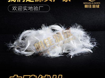 厂家直销白鸭绒片无异味清洁环保