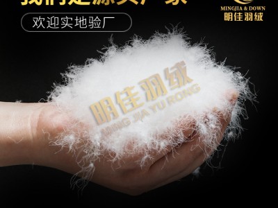 厂家直销轻奢高颜大鸭绒黄金羽绒足