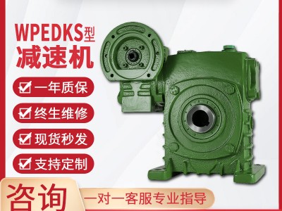 WPEDKS减速机蜗轮蜗杆减速机单级同