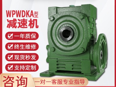 WPWDKA减速机蜗轮蜗杆减速机单级同