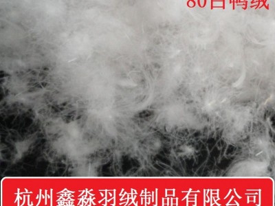 美标 水洗80羽绒 白鸭绒 厂家直销