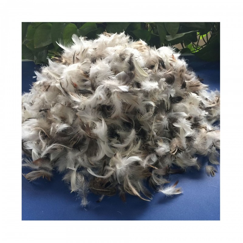 美羽 灰鹅绒片鹅毛羽毛片厂家直销靠枕坐垫沙发填充水洗羽绒批发