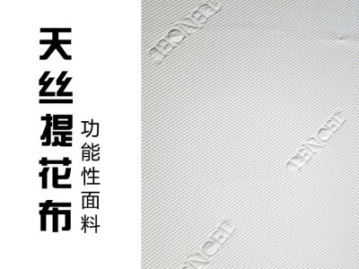 空气层坐垫 床垫面料抱枕 天丝提花