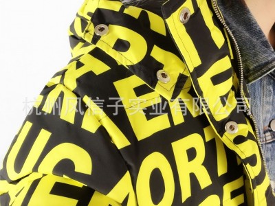 HOT清加工来料加工全经销女装羽绒服