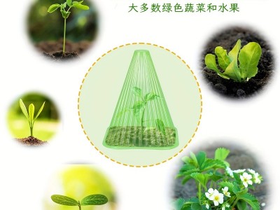 植物保温罩植物育苗罩闷养罩钟罩锥