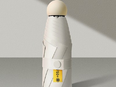 新款十色圆五折伞雨伞定制印LOGO迷