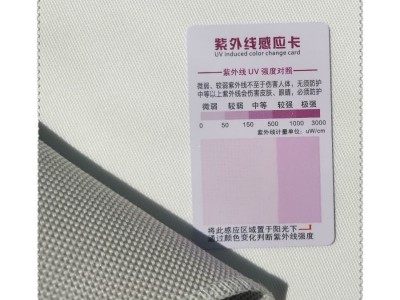 #17019 olefin奥莉芬丙纶户外牛津布