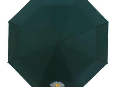 ins小雏菊学生简约全自动两用晴雨伞