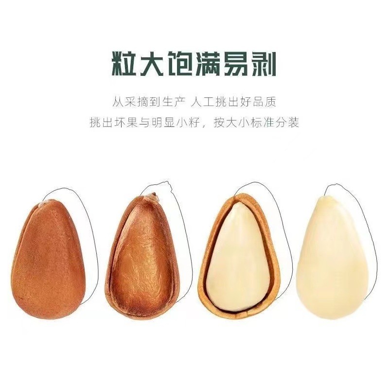 东北松子新货5KG散装开口大颗粒坚果年货批发 不同颗粒大小均有