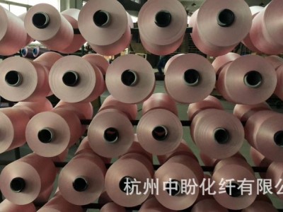 销售DTY300D/144F 低弹丝 有色丝 网