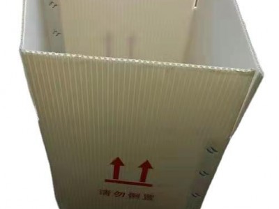 工厂直供钙塑包装箱瓜果蔬菜苗箱钙