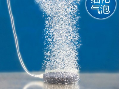 高温烧结臭氧增氧面包气泡石气盘水