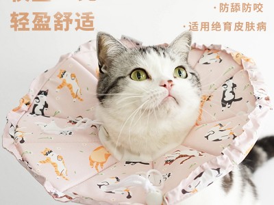 超轻伊丽莎白圈猫咪项圈防舔咬颈脖
