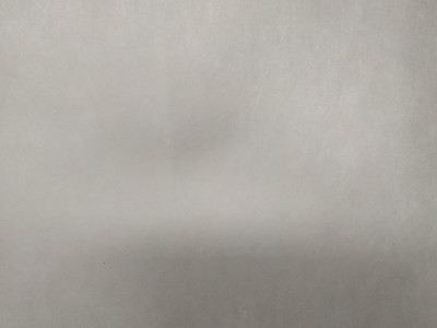 过滤纤维纸 试纸条 免疫层析技术 医
