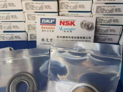 英国巴顿BARDEN分子泵轴承 C38SSTY5