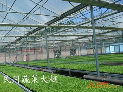 农养种植畜牧屋面采光带FRP采光板