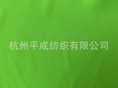 热卖鸟眼布 服装面料针织网布 T恤校