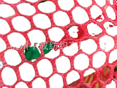 现货涤纶六角网眼布 葡萄球网布 发