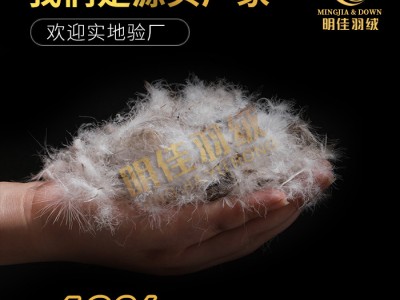 厂家直销水洗60%灰鸭绒高蓬松无异味