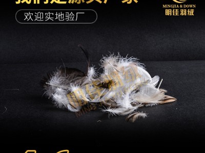 厂家直销4-6灰鸭毛片无异味清洁环保