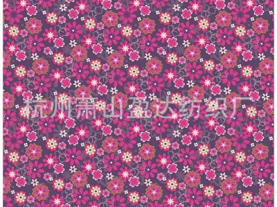 各种类型防水印花布 全涤箱包印花布