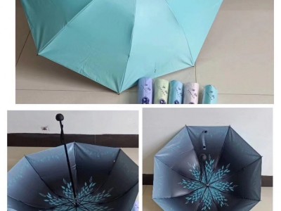创意晴 雨儿童卡通折叠晴雨伞 太阳