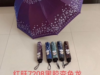 太阳伞蕾丝黑色晴雨两用伞纯色简约