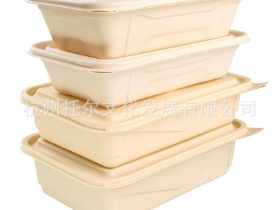 可降解一次性饭盒长方形快餐盒食品