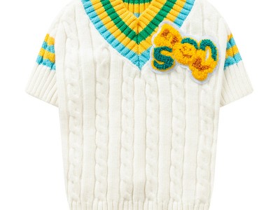 宠物狗狗两脚衣服幼犬2023新款秋冬