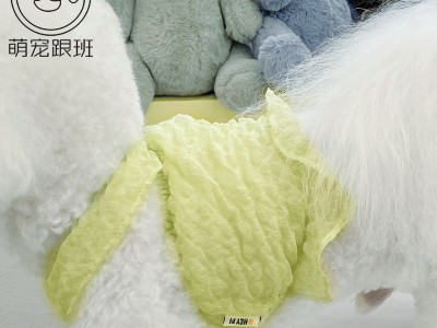 网纱背心宠物猫咪狗狗秋季薄款法斗