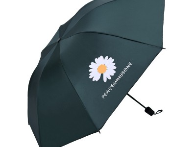 手动折叠小雏菊黑胶防紫外线晴雨伞