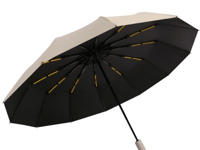 全自动雨伞女男士晴雨两用加大号加