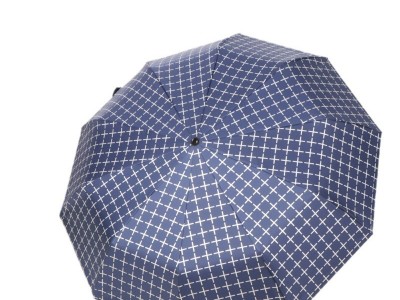 商务格子雨伞全自动加大号双人黑胶