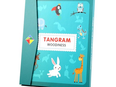 儿童磁性七巧板早教益智力开发幼儿
