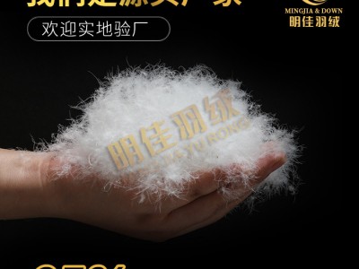 厂家直销水洗95%普白鸭绒高蓬松无异