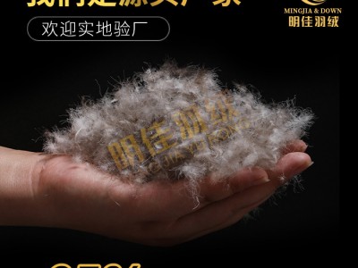 厂家直销水洗95%灰鸭绒高蓬松无异味