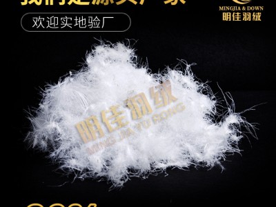 厂家直销水洗80%白鹅绒高蓬松无异味