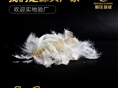 厂家直销4-6白鸭毛片无异味清洁环保