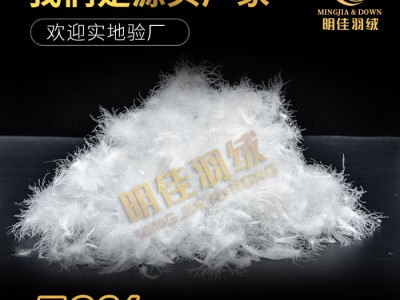 厂家直销水洗70%普白鸭绒高蓬松无异
