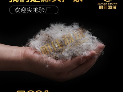 厂家直销水洗50%灰鸭绒高蓬松无异味
