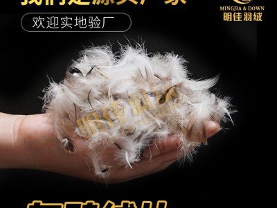 厂家直销灰鸭绒片无异味清洁环保