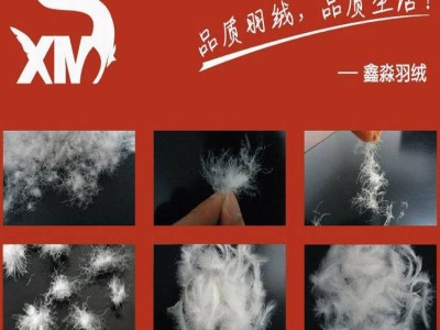 90羽绒 90鹅绒 90%白鹅绒