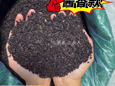 酱香款细梅干菜全干梅干菜扣肉饼用