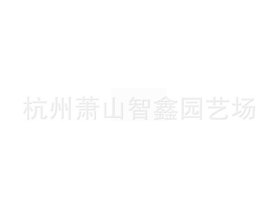 苗木 工程绿化 园林 黑土基质 金叶