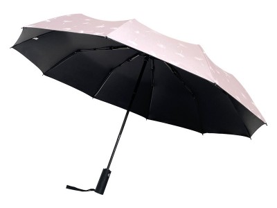 遮阳晴雨伞女男十骨折叠全自动两用