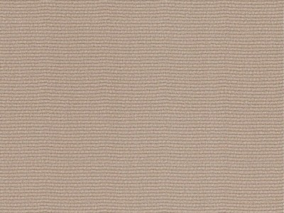 PVC木纹膜（用于免漆门、木饰面、平