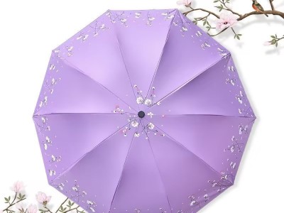 十骨抗风双人雨伞大号黑胶晴雨两用