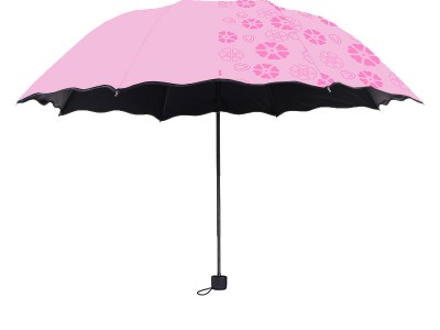 雨伞定制logo遇水开花八骨女士黑胶