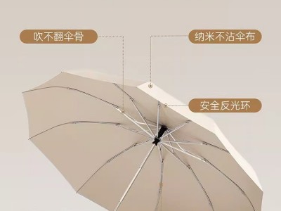 便携环扣雨伞男士大号全自动加大加